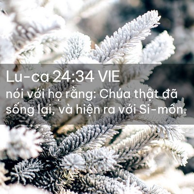 Picture 02 - Lu-ca 24:34 VIE - nói với họ rằng: Chúa thật đã sống - Bible Verse Picture
