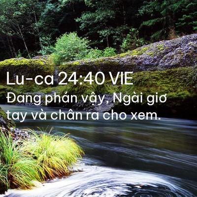 Picture 02 - Lu-ca 24:40 VIE - Đang phán vậy, Ngài giơ tay và chân ra - Bible Verse Picture