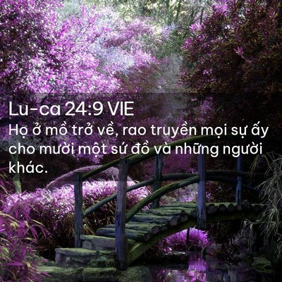 Picture 02 - Lu-ca 24:9 VIE - Họ ở mồ trở về, rao truyền mọi sự - Bible Verse Picture