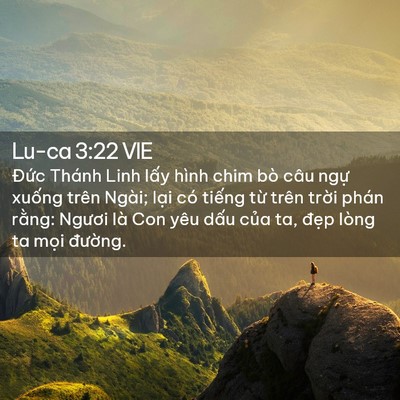 Picture 02 - Lu-ca 3:22 VIE - Đức Thánh Linh lấy hình chim bò câu - Bible Verse Picture