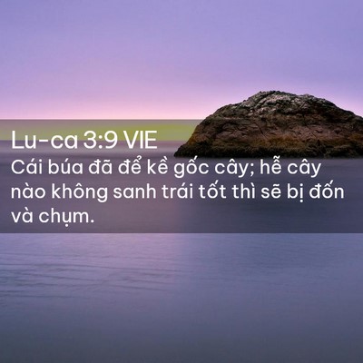 Picture 02 - Lu-ca 3:9 VIE - Cái búa đã để kề gốc cây; hễ cây - Bible Verse Picture