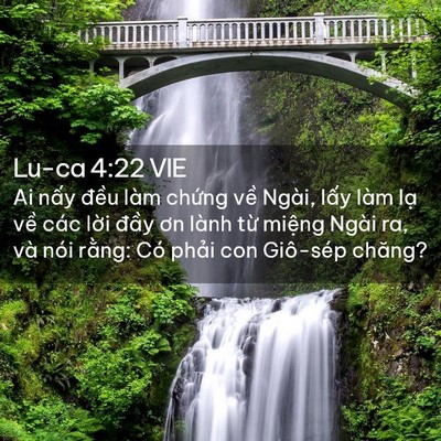 Picture 02 - Lu-ca 4:22 VIE - Ai nấy đều làm chứng về Ngài, lấy - Bible Verse Picture