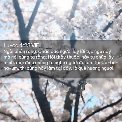 Picture 02 - Lu-ca 4:23 VIE - Ngài phán rằng: Chắc các ngươi lấy - Bible Verse Picture