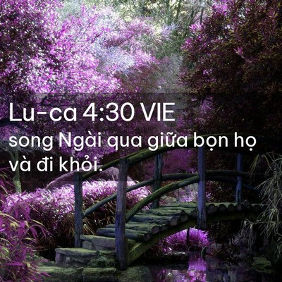 Picture 02 - Lu-ca 4:30 VIE - song Ngài qua giữa bọn họ và đi - Bible Verse Picture