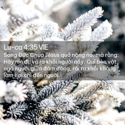Picture 02 - Lu-ca 4:35 VIE - Song Đức Chúa Jêsus quở nặng nó, mà - Bible Verse Picture
