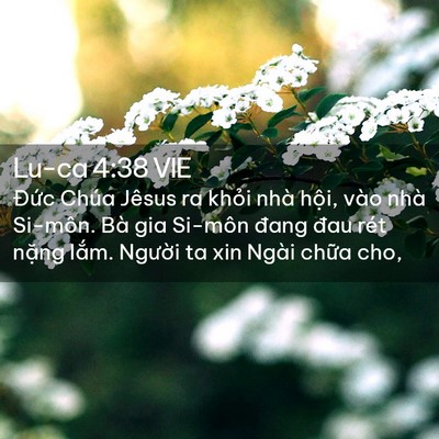 Picture 02 - Lu-ca 4:38 VIE - Đức Chúa Jêsus ra khỏi nhà hội, vào - Bible Verse Picture