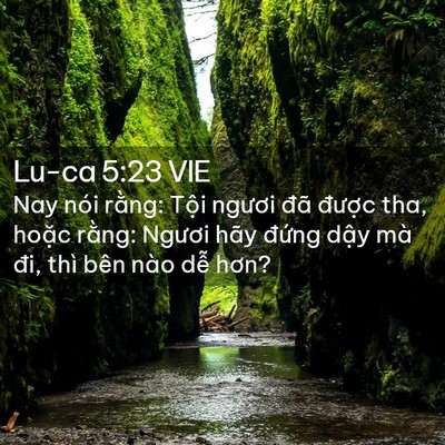 Picture 02 - Lu-ca 5:23 VIE - Nay nói rằng: Tội ngươi đã được tha, - Bible Verse Picture