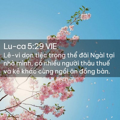 Picture 02 - Lu-ca 5:29 VIE - Lê-vi dọn tiệc trọng thể đãi Ngài - Bible Verse Picture