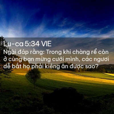 Picture 02 - Lu-ca 5:34 VIE - Ngài đáp rằng: Trong khi chàng rể còn - Bible Verse Picture
