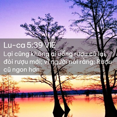 Picture 02 - Lu-ca 5:39 VIE - Lại cũng không ai uống rượu cũ lại - Bible Verse Picture