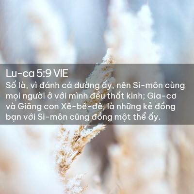 Picture 02 - Lu-ca 5:9 VIE - Số là, vì đánh cá dường ấy, nên - Bible Verse Picture
