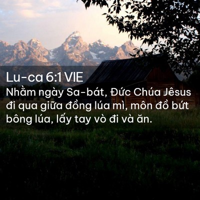 Picture 02 - Lu-ca 6:1 VIE - Nhằm ngày Sa-bát, Đức Chúa Jêsus đi qua - Bible Verse Picture