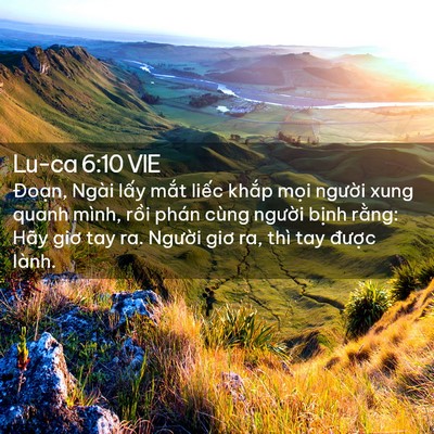Picture 02 - Lu-ca 6:10 VIE - Đoạn, Ngài lấy mắt liếc khắp mọi - Bible Verse Picture