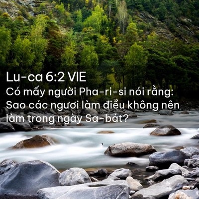 Picture 02 - Lu-ca 6:2 VIE - Có mấy người Pha-ri-si nói rằng: Sao - Bible Verse Picture