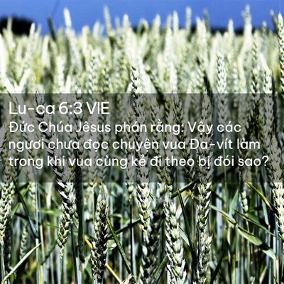 Picture 02 - Lu-ca 6:3 VIE - Đức Chúa Jêsus phán rằng: Vậy các - Bible Verse Picture
