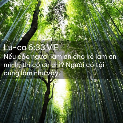 Picture 02 - Lu-ca 6:33 VIE - Nếu các ngươi làm ơn cho kẻ làm ơn - Bible Verse Picture