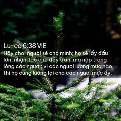 Picture 02 - Lu-ca 6:38 VIE - Hãy cho, người sẽ cho mình; họ sẽ - Bible Verse Picture