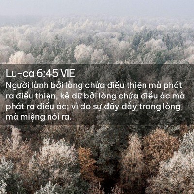 Picture 02 - Lu-ca 6:45 VIE - Người lành bởi lòng chứa điều thiện - Bible Verse Picture
