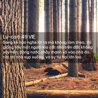 Picture 02 - Lu-ca 6:49 VIE - Song kẻ nào nghe lời ta mà không làm - Bible Verse Picture