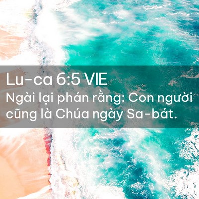 Picture 02 - Lu-ca 6:5 VIE - Ngài lại phán rằng: Con người cũng là - Bible Verse Picture