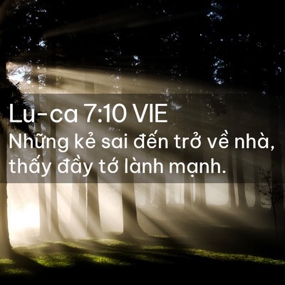 Picture 02 - Lu-ca 7:10 VIE - Những kẻ sai đến trở về nhà, thấy - Bible Verse Picture