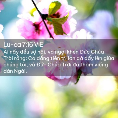 Picture 02 - Lu-ca 7:16 VIE - Ai nấy đều sợ hãi, và ngợi khen Đức - Bible Verse Picture