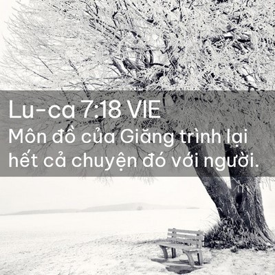 Picture 02 - Lu-ca 7:18 VIE - Môn đồ của Giăng trình lại hết cả - Bible Verse Picture