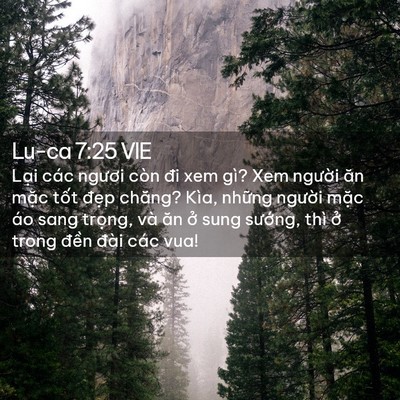 Picture 02 - Lu-ca 7:25 VIE - Lại các ngươi còn đi xem gì? Xem người - Bible Verse Picture