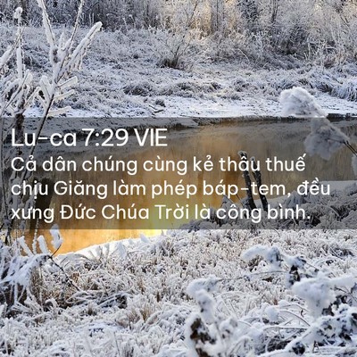 Picture 02 - Lu-ca 7:29 VIE - Cả dân chúng cùng kẻ thâu thuế chịu - Bible Verse Picture