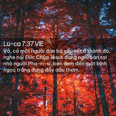 Picture 02 - Lu-ca 7:37 VIE - Vả, có một người đàn bà xấu nết - Bible Verse Picture