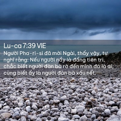 Picture 02 - Lu-ca 7:39 VIE - Người Pha-ri-si đã mời Ngài, thấy - Bible Verse Picture