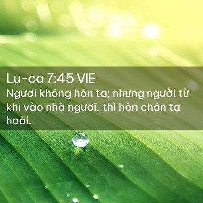 Picture 02 - Lu-ca 7:45 VIE - Ngươi không hôn ta; nhưng người từ khi - Bible Verse Picture