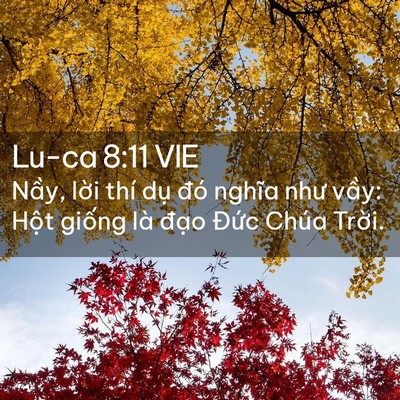 Picture 02 - Lu-ca 8:11 VIE - Nầy, lời thí dụ đó nghĩa như vầy: - Bible Verse Picture
