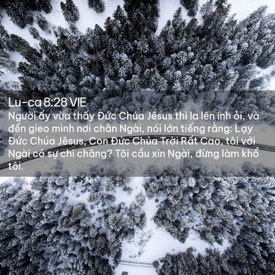 Picture 02 - Lu-ca 8:28 VIE - Người ấy vừa thấy Đức Chúa Jêsus - Bible Verse Picture