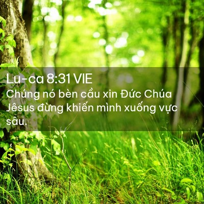 Picture 02 - Lu-ca 8:31 VIE - Chúng nó bèn cầu xin Đức Chúa Jêsus - Bible Verse Picture