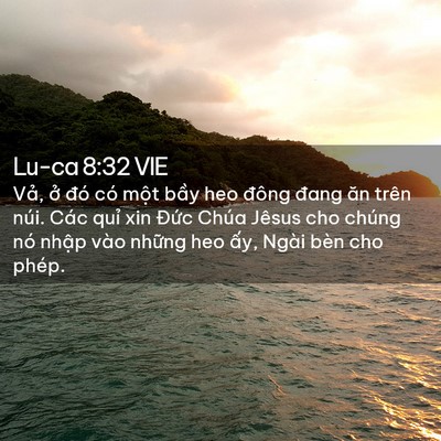 Picture 02 - Lu-ca 8:32 VIE - Vả, ở đó có một bầy heo đông đang - Bible Verse Picture