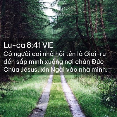 Picture 02 - Lu-ca 8:41 VIE - Có người cai nhà hội tên là Giai-ru - Bible Verse Picture