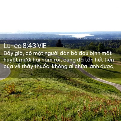 Picture 02 - Lu-ca 8:43 VIE - Bấy giờ, có một người đàn bà đau - Bible Verse Picture
