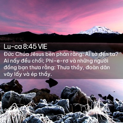 Picture 02 - Lu-ca 8:45 VIE - Đức Chúa Jêsus bèn phán rằng: Ai sờ - Bible Verse Picture