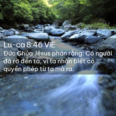 Picture 02 - Lu-ca 8:46 VIE - Đức Chúa Jêsus phán rằng: Có người - Bible Verse Picture