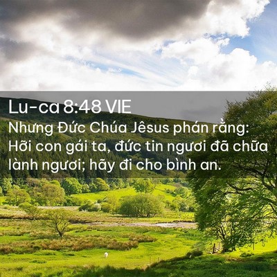 Picture 02 - Lu-ca 8:48 VIE - Nhưng Đức Chúa Jêsus phán rằng: Hỡi - Bible Verse Picture