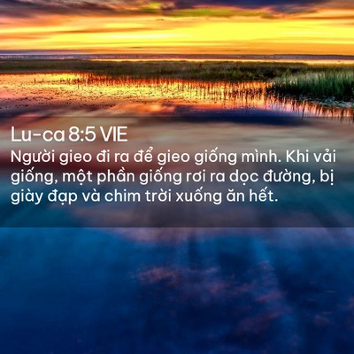 Picture 02 - Lu-ca 8:5 VIE - Người gieo đi ra để gieo giống mình. - Bible Verse Picture