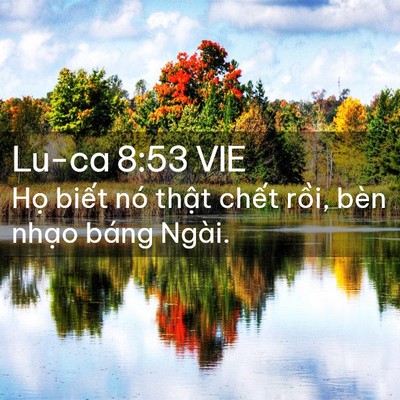 Picture 02 - Lu-ca 8:53 VIE - Họ biết nó thật chết rồi, bèn nhạo - Bible Verse Picture
