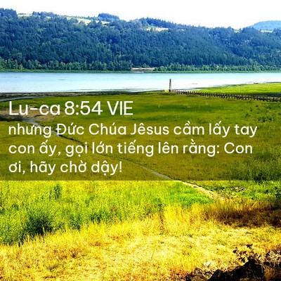 Picture 02 - Lu-ca 8:54 VIE - nhưng Đức Chúa Jêsus cầm lấy tay con - Bible Verse Picture