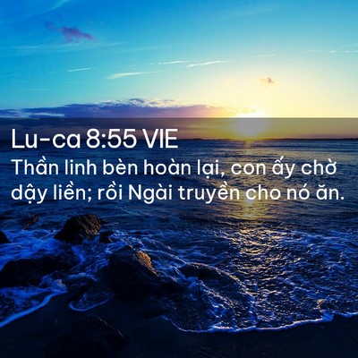 Picture 02 - Lu-ca 8:55 VIE - Thần linh bèn hoàn lại, con ấy chờ - Bible Verse Picture