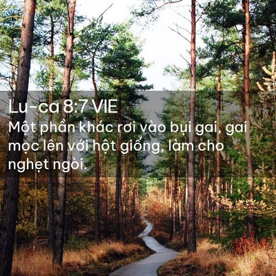 Picture 02 - Lu-ca 8:7 VIE - Một phần khác rơi vào bụi gai, gai mọc - Bible Verse Picture