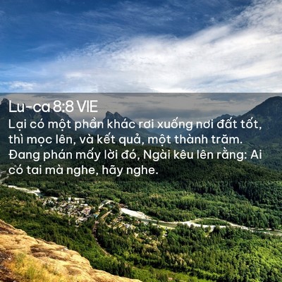 Picture 02 - Lu-ca 8:8 VIE - Lại có một phần khác rơi xuống nơi - Bible Verse Picture
