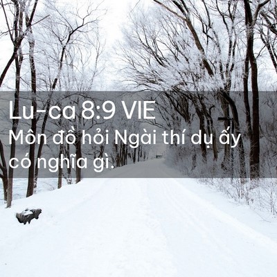 Picture 02 - Lu-ca 8:9 VIE - Môn đồ hỏi Ngài thí dụ ấy có nghĩa - Bible Verse Picture