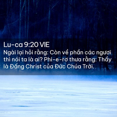 Picture 02 - Lu-ca 9:20 VIE - Ngài lại hỏi rằng: Còn về phần các - Bible Verse Picture