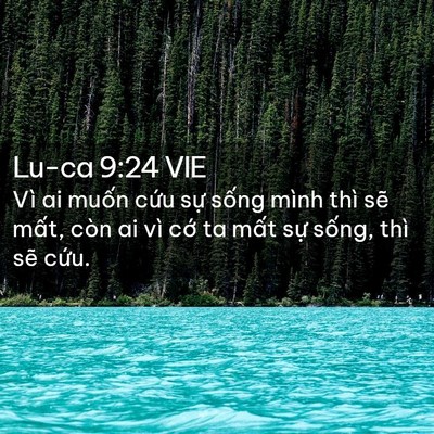 Picture 02 - Lu-ca 9:24 VIE - Vì ai muốn cứu sự sống mình thì sẽ - Bible Verse Picture